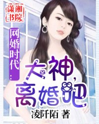 网婚时代：大神，离婚吧