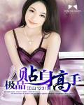 极品贴身高手